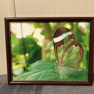 Glass Butterfly Framed Photo